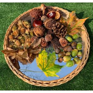 Wicker Wonders - Mirror Circle Tray - (D)30cm