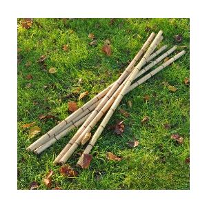 Broom Handle Measuring Sticks (6Pk)