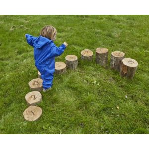 Number Logs Height Sorted - Set of 10