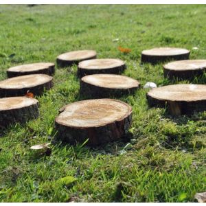 Natural Stepping Stones - Pack of 10