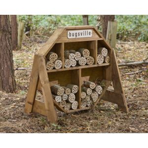 Bugsville Hive