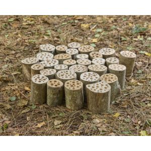 Pre Drilled Logs For Bug Homes - Pack of 30