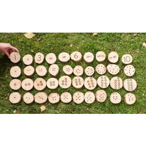 Subitising and Conservation Number Cookies - 40 Piece Set