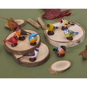 Small World Birds Set - Set of 8