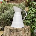 Natural Jug