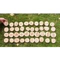 Subitising and Conservation Number Cookies - 40 Piece Set