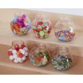 Potion Pots (6Pk)